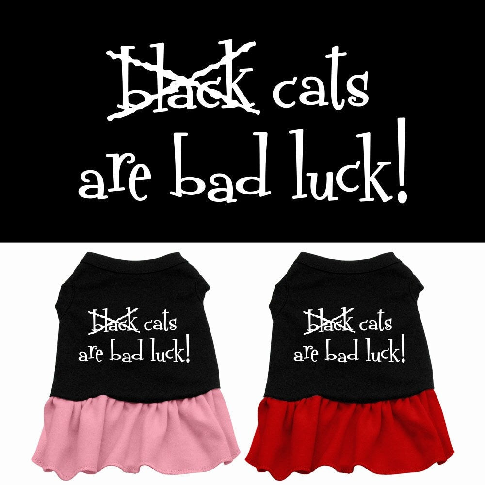 Vestido para perros y gatos de Halloween serigrafiado con la frase "Los gatos negros traen mala suerte"