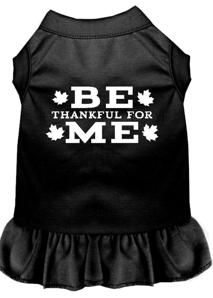 Pet Dog & Cat Dress Screen Printed, "Be Thankful For Me"