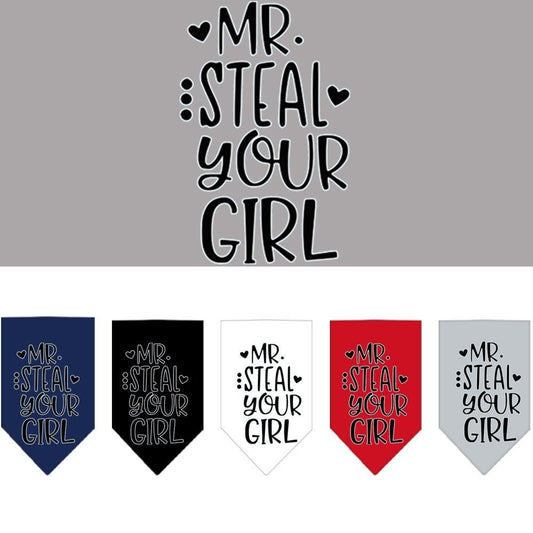 Pet and Dog Bandana Screen Printed, "Mr. Steal Your Girl"