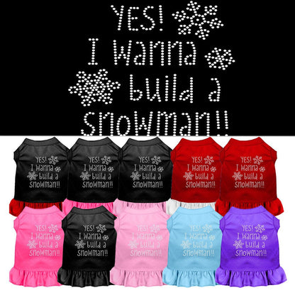 Christmas Pet Dog & Cat Dress Rhinestone, "Yes! I Want To Build A Snowman"