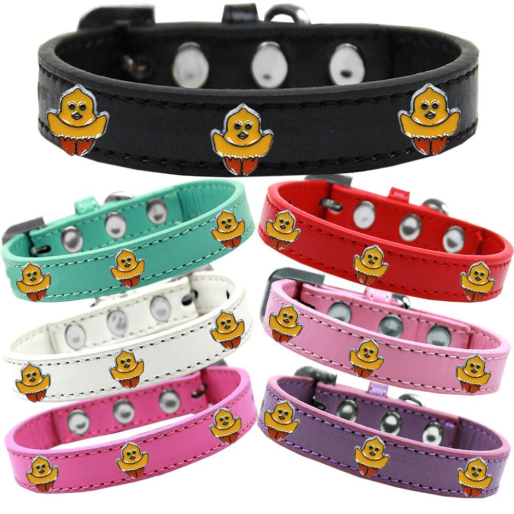 Collar de moda para perros, cachorros y mascotas, "Chickadee"