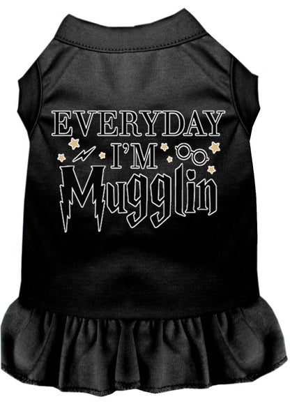 Pet Dress "Everyday I'm Mugglin"