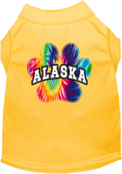 Pet Dog & Cat Screen Printed Shirt for Small to Medium Pets (Sizes XS-XL), "Alaska Bright Tie Dye"