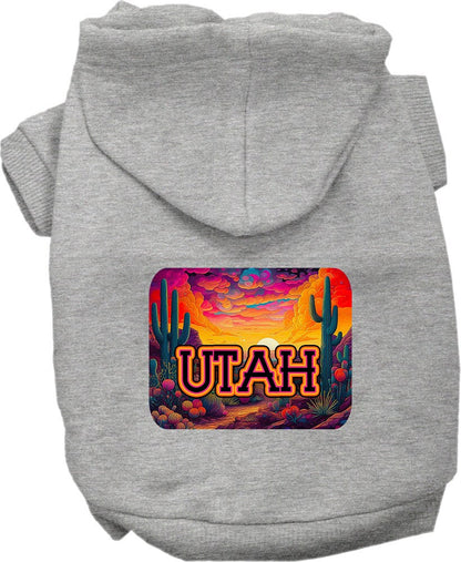 Pet Dog & Cat Screen Printed Hoodie for Small to Medium Pets (Sizes XS-XL), "Utah Neon Desert"