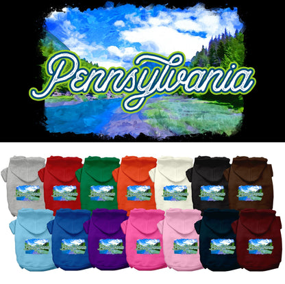 Sudadera con capucha serigrafiada para perros y gatos, para mascotas medianas y grandes (tallas 2XL-6XL), "Pennsylvania Summer"