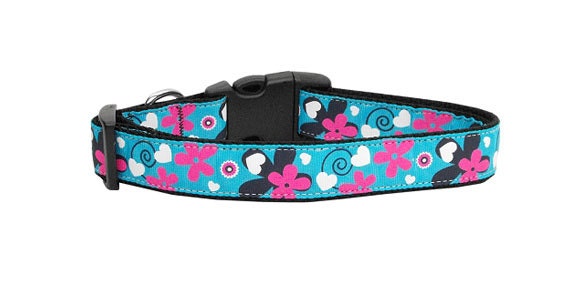 Collar o correa de nailon para perros y gatos, "Aqua Love"