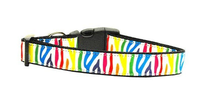 Pet Dog & Cat Nylon Collar or Leash, "Zebra Rainbow"