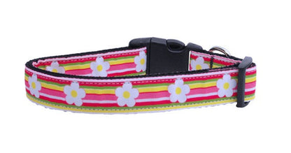 Pet Dog & Cat Nylon Collar or Leash, "Striped Daisy"