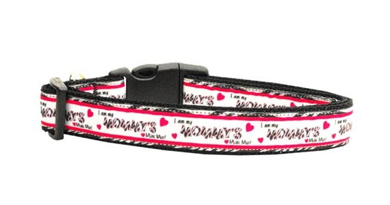 Pet Dog & Cat Nylon Collar or Leash, "Mommy's Mini Me"