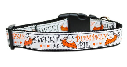 Pet Dog & Cat Nylon Collar or Leash, "Pumpkin Pie"