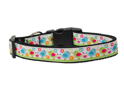 Pet Dog & Cat Nylon Collar or Leash, "Chirpy Chicks"