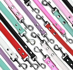 Pet, Dog or Cat Premium Pet Leash  (1/2" wide x 4' long)